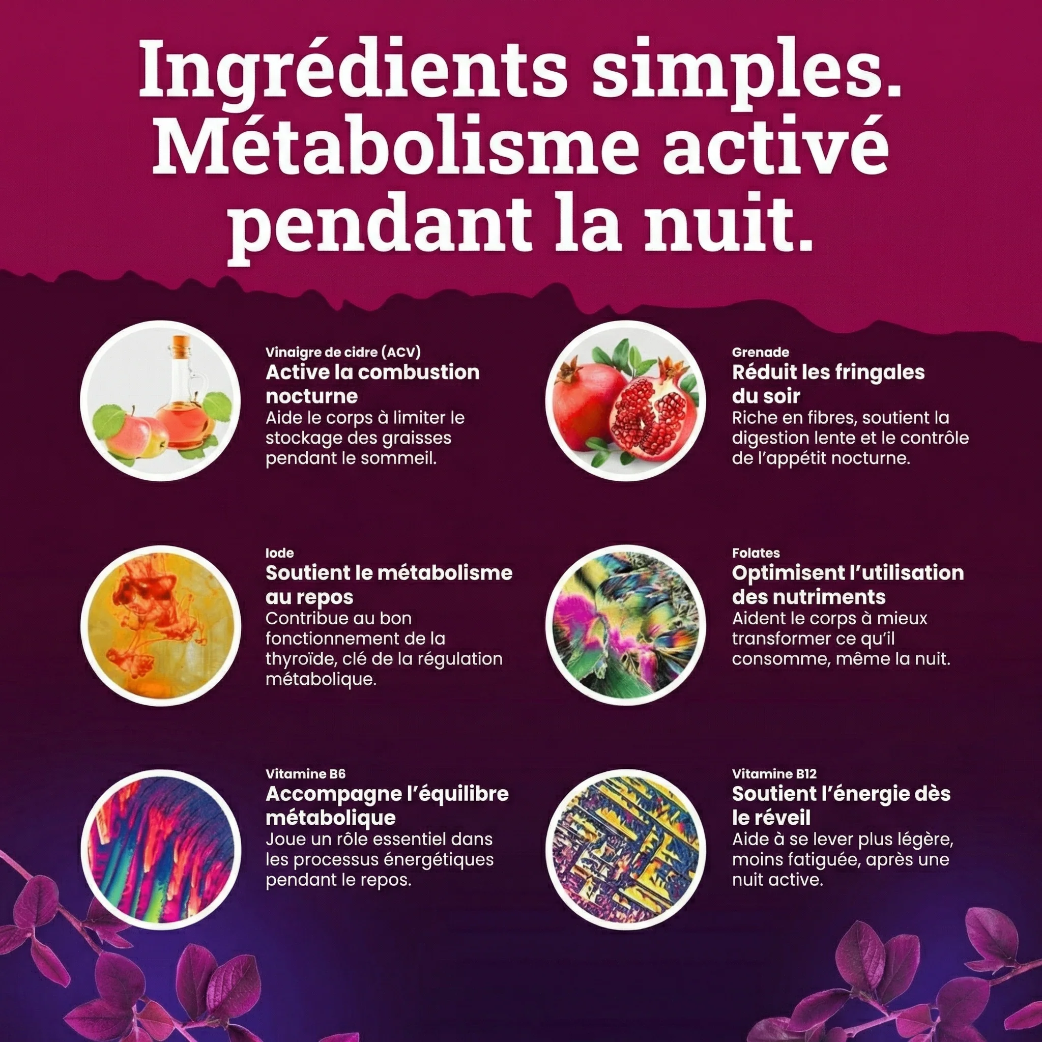 Gummies Minceur | Brûleur de Graisse Nocturne - Image 3